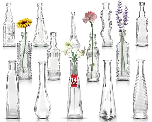 BULK PARADISE Small Vintage Glass Bottles with Corks, Mini Vases, Decorative Glass Bottle, Potion Bottles, Assorted Design - Set of 14 assorted design 5oz 6.5-7 inch tall 1.8-2.inch wide.