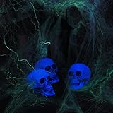 Bag of Realistic Bulk Skeleton Skulls (12 Pack) 5 Inch Human Skulls Halloween Decorations, Bar and Table Halloween Decor, Spooky Yard Decor