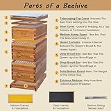 BeeCastle 10 Frame Langstroth Bee Hive Coated with Beeswax Includes Beehive Frames and Waxed Foundations (2 Deep Boxes & 1 Medium Box)