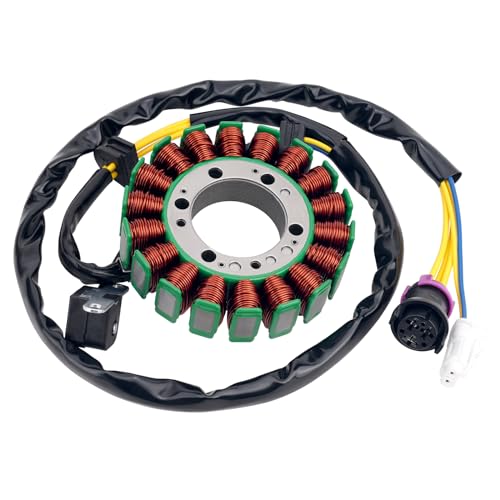 Road Passion 2.1.01.2060 2.1.01.2010 Stator Coil Compatible with Buyang 300 Feishen 300cc Big power, Buyang 300cc ATVs FA-H300, FA-D300-300cc ATV 300B (2x4, 4x4 and 4x4 IRS)