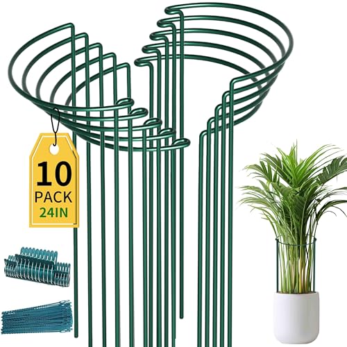 TCBWFY 10 Pack Plant Support Stakes - 10" Wide x 24" High Heavy Duty Metal Peony Cages and Supports for Outdoor and Indoor Plants