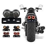 Anki HappiGo ANKIA 40-LED 40W Motorcycle Tail Light Integrated Running Lamp Brake&Turn Signal Light with License Plate Bracket for Harly Motorcycle Street Bike Cruiser Chopper (Black)