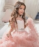 Stunning V-Back Luxury Pageant Tulle Ball Gowns for Girls 2-12 Year Old Pink,Size 10