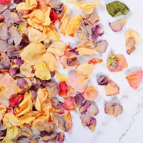 20+ Cups Real Rose Petals Biodegradable Wedding Flower Confetti, 2 QT Mixed Yellow Purple Pink Dried Roses Petals for Wedding Proposal Bath Valentine's Day Party Flower Girl