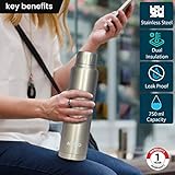 AGARO Regal Stainless Steel Vacuum Flask 750 ML, Double Walled Vacuum Insulated, Copper Insulated, 304 Grade Inner and Outer Stainless Steel Crafted, Leak Proof, Hot and Cold up to 8 hrs, (Silver)