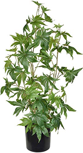 TenWaterloo Artificial Cannabis Plant, Potted Plant 36 Inches High, Fake Marijuana Potted Decor Plant, 1 Artificial Potted Marijuana Plant