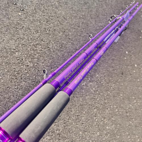 GOOFISH® Purple Diamond Light Popping Pole-9.2'(Approx 280cm) 2 Piece Solid Nano Tip Japan Fuji Saltwater Popping Spinning Rod