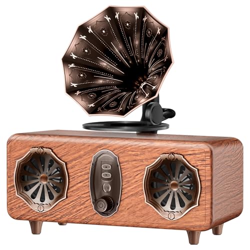 Retro Bluetooth Speaker Retro Radio with 5.4 Bluetooth Version, FM Radio, Bass Vintage Wireless Speaker Support USB/TF/AUX Player for Home Office Room Bedroom, Decorations