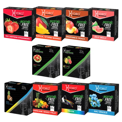 Hydro Herbal Hookah Shisha - [50g X 10 PACK] [500g] - Fruit Lovers Mix - [Premium Flavor - Tobacco, Nicotine Free] Party Mix X2