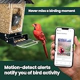 Perky-Pet Smart Camera Squirrel-Resistant Bird Feeder, 3.5 lb Seed Capacity – Motion Activated 1080p HD Photos & Videos, Live Stream Camera – 2.4 GHz Wi-Fi, Battery-Powered