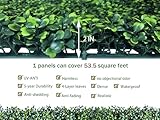 ODTORY Artificial Ivy Privacy Fence Wall Screen,64X120 in(53.5 sqft) UV-Anti Faux Boxwood Roll Panels Greenery Backdrop Ivy Vine Leaf Hedges Fence Panels for Indoor Outdoor Green Wall Decor