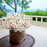 AmyHomie Artificial Flowers, Silk Daisy, Artificial Gerber Daisy for Home Decoration, Artificial Daisy for Wedding Decoration (White)