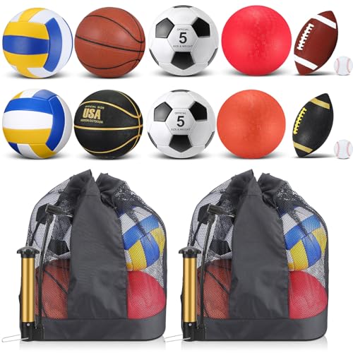 Deekin 12 Pcs Assorted Sport Ball Set Official Size Basketball, Football, Volleyball, Soccer, Baseball, Playground Ball with Bag and Pump Gift for Kid Youth Adult Back to School(Bright,Adult Youth)