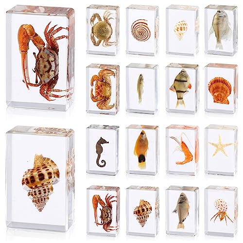 16 Pcs Ocean Animal Insect in Resin Specimen Bugs Collection Paperweights，16 Styles Real Bug Specimen Bug Kit Preserved in Resin for Scientific Educational Display Supplies (Ocean)