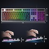 OMOTON Wired Gaming Keyboard, Full Size Keyboard, 26 Anti Ghosting Keys, LED Backlit, 12 Multimedia Keys, Silent Membrane Gaming Keyboard for PC, Desktop, Computer, Black