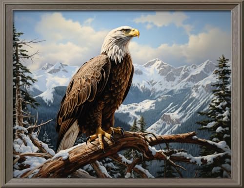 Leczany Cross Stitch Stamped Kit for Adults or Kids - Snow Mountain Eagle | DIY Embroidery Starter Patterns Craft Kit Needlepoint for Beginner | 11CT, 3 Strands | 20.5x15.4 inches