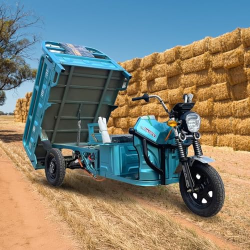 Runave Electric Tricycle Cargo Trike Motor Truck for Warehouse Farm Home, Utility Electric Three-Wheeler Trike Vehicle for Adults, 1000W Motor, 60V~45A Large Capacity Battery, 1300KG Loader Hopper