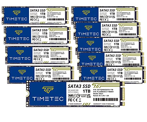 Timetec 1TBx10 (10 Pack) SSD 3D NAND SATA III 6Gb/s M.2 2280 NGFF Read Speed Up to 550MB/s SLC Cache Performance Boost Internal Solid State Drive for PC Computer Laptop and Desktop