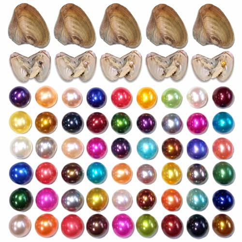 50PC Oyster with Round Pearl Inside Meaningful Color Freshwater Cultured Oyster Love Wish Pearls Beads for Jewelry Making Crafts Gifts((6-8mm, 50 PCS/Lot)