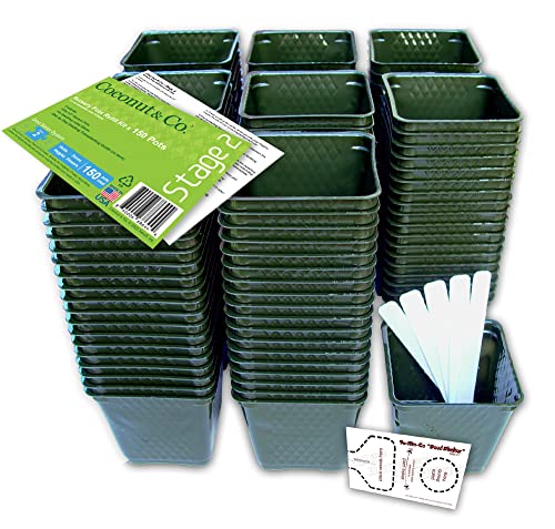 COCONUT & CO. 150 Square Plastic Nursery Greenhouse Plant Pots, 10 Plant Labels, Transplanting Guide & Seed Shaker Card Stage 2, 1 Pint, Made in USA, Food-Safe, No BPA, Seedling Containers