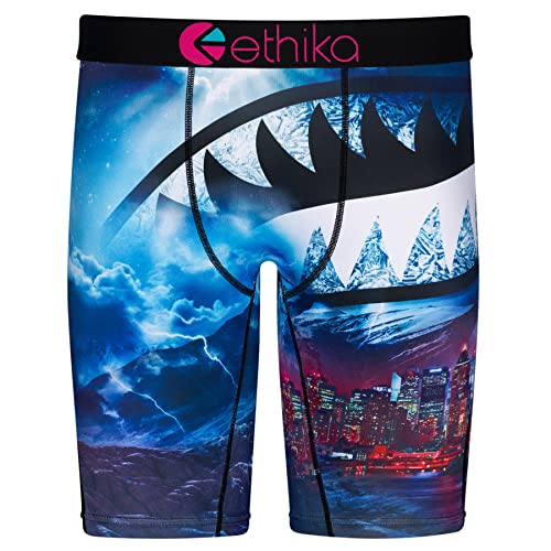 Ethika Mens Staple Boxer Brief | Ethika Dreams (BLP, Medium)