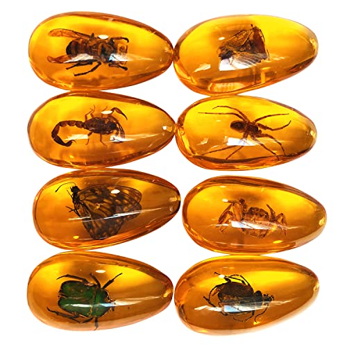 Western Eagle Workshop 8pcs Amber Fossil with Insects Samples Stones Crystal Specimens Home Decorations Collection Oval Pendant