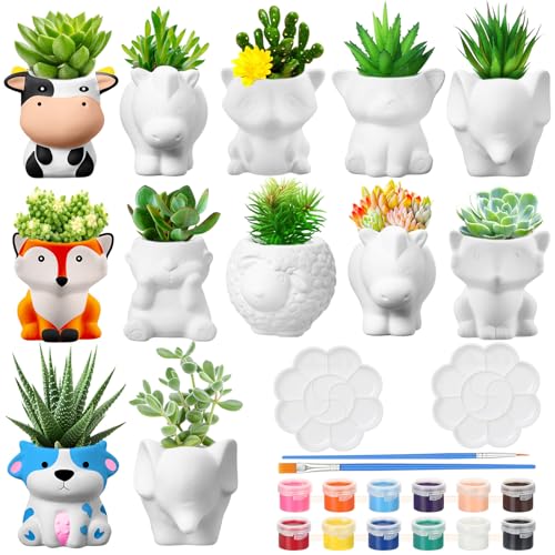 Hushee 12 Sets DIY Ceramic Succulent Pots Ready to Paint Animal Planters Unpainted Plant Flower Pots Bulk with Drainage Hole and Bisque Paint for Kids Adults Craft Christmas