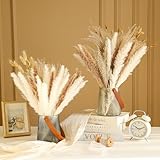 Dried Pampas Grass Bouquet, Boho Dried Flowers Decor for Western Home, Bedroom, and Wedding Table Décor, 67 Stems