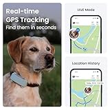 Tractive GPS Dog Tracker (2025 Release) | Real-time Pet Location Tracker | Health & Wellness Alerts | Virtual Fence for Dogs | Bark Monitoring | Dog Collar Attachment (Mint)