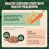 Hatortempt Dried Mealworms 5 lbs - Organic Non GMO Chicken Feed - High Protein Poultry Feed - Mealworms for Chickens, Wild Birds & Laying Hens