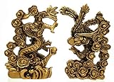 Betterdecor Feng Shui Chinese Dragon and Phoenix Statue Fgurine Decoration for Family Harmony,Love,Marriage Prosperity and Protection