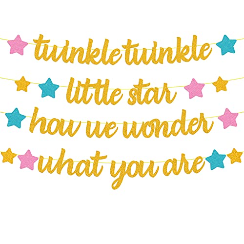 Twinkle Twinkle Little Star How We Wonder What You are Banner Gender Reveal Decorations He or She Pink Blue Gold Star Baby Shower Party Supplies Glitter Décor Pre-Strung