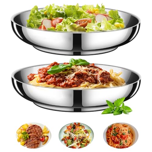 2PCS Stainless Steel Dinner Plates 8.7" Double Layered Metal Round Dinner Plates Unbreakable, Oven & Dishwasher Safe, Heat-Resistant for Indoor/Outdoor Use, Perfect for Camping, BBQ & Everyday Meals