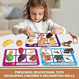 Wiznobliss Sorting Toys for Toddlers,3 in 1 Learning Education Toys Sorting Games Cutting Fruit Toys Toddler Coloring,Fine Motor Montessori Preschool Classroom Sensory Toys for 2+ Year Old.