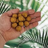 boilies Corn and Tiger Nuts 20 mm