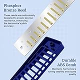 Harmo Polar Diatonic Harmonica Key of G, Paddy Richter Tuning - Specialized for Irish, Bluegrass, Celtic, and Folk Music, Mouth Organ With Case, Harmonica for Kids, Adults, Beginners & Professionals