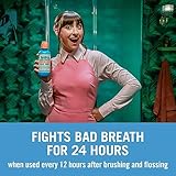 TheraBreath Fresh Breath Mouthwash, Icy Mint Flavor, Alcohol-Free, 16 Fl Oz (Pack of 2)