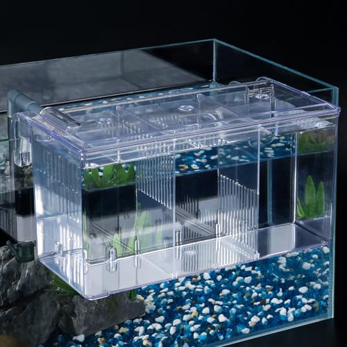 Pawfly Aquarium Fish Breeding Box Fish Tank Hatchery Incubator Acrylic Fish Breeder Box Hatching Box for Baby Fish Shrimp Betta Clownfish Large Acclimation Box Isolation Box for Aggressive Fish Guppy