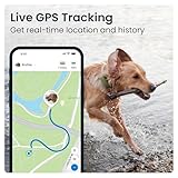 Tractive XL GPS Tracker & Health Monitoring for Dogs (50 lbs+) - Market Leading Pet GPS Location Tracker | Wellness & Escape Alerts | Waterproof | Works with Any Collar (Green)