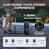 EF ECOFLOW Portable Power Station DELTA 2, 1024Wh LiFePO4 (LFP) Battery, 1800W AC/100W USB-C Output, Solar Generator(Solar Panel Optional) for Home Backup Power, Camping & RVs