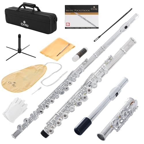 Cecilio Open Hole C Flute - Musical Instrument, Beginner/Intermediate Flute in Band & Orchestra, Silver