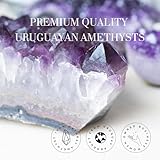 DEEP PURPLE PROJECT 1 Lb Quartz Crystal Cluster Raw Amethyst Stone Plus: GIFT WRAP BOX INCLUDED