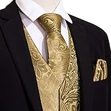 Barry.Wang Formal Men Dress Vest Matched Paisley Tie Set Suit Waistcoat Wedding 5PCS Gold 2XL-Large