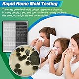 Mold Test Kit for Home - 12 Simple Detection Tests,Test HVAC System,Home Surfaces,& Indoor Air Quality Testing Kits,DIY Mold Detector at Home,includes Detailed Mold Identification Guide,air tester