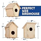 12 DIY Bird House Kits For Children to Build - Wood Birdhouse Kits for Kids to Paint - Unfinished Wood Bird Houses to Paint for Kids - Wood Craft Project Kits - Wooden Arts & Craft for Girls & Boys