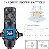 Podcast Equipment Bundle For 2, ALPOWL Audio Interface with Cardioid Designer BM800 Mic for Gamer and All-In-One DJ Mixer, perfect for Live Streaming, Singing, YouTube, Gaming