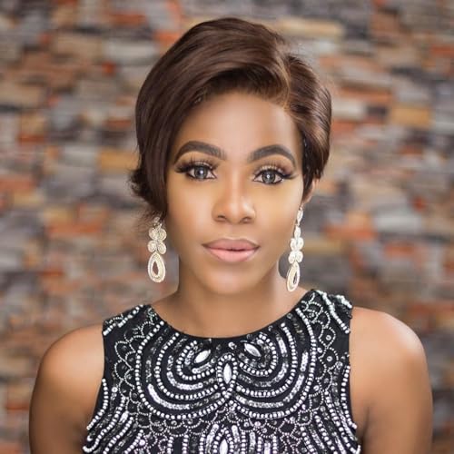 PangDongLai Pixie Cut Lace Front Wigs Human Hair 13x4x1 Lace Frontal Wigs Chocolate Brown 4# for Daily Use Short Straight Bob Wigs Pixie Cut Wigs For Black Women (4# chocolate brown)