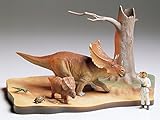 Tamiya 60101-1:35 Chasmosaurus, Diorama Set