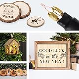 TEKCHIC 60W Professional Wood Burning Kit Pro Wood Burner Pyrography Tool with 20 Wire Nibs Tips Including Ball Tips