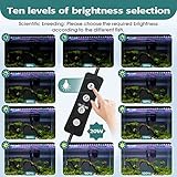 hygger 20W Full Spectrum Aquarium LED Light with 10 Levels Brightness, White Blue Red Green LEDs,6H8H12H Timer,RGB Light for 24~32IN Freshwater Fish Tank, Aquatic Plants Tropical Ornamental Fish